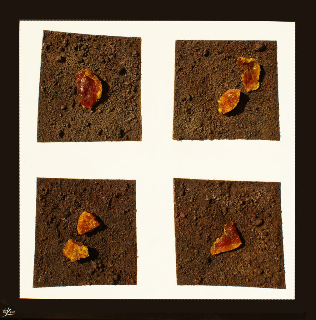 Catifa Xocolata - Arzak