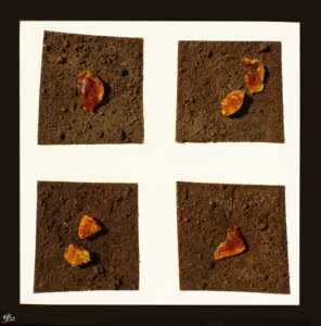 Catifa Xocolata - Arzak