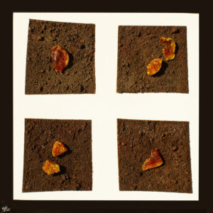 Catifa Xocolata - Arzak