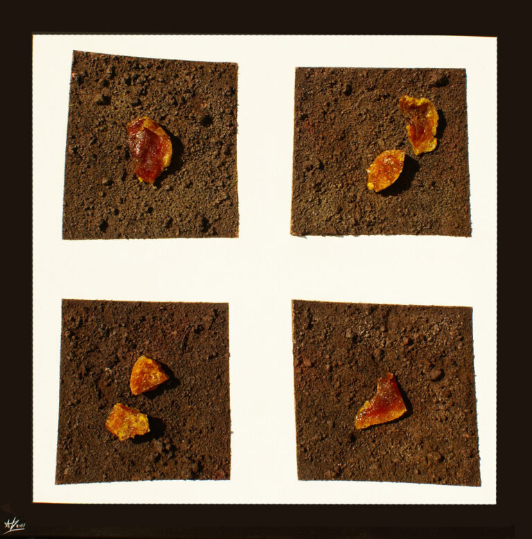 Catifa Xocolata - Arzak