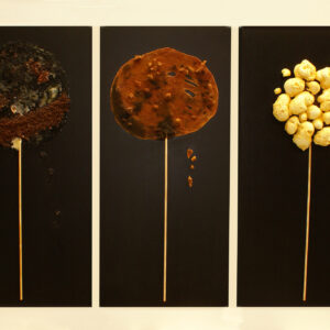 Lollipop - El Bulli