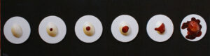 Sec - El Bulli