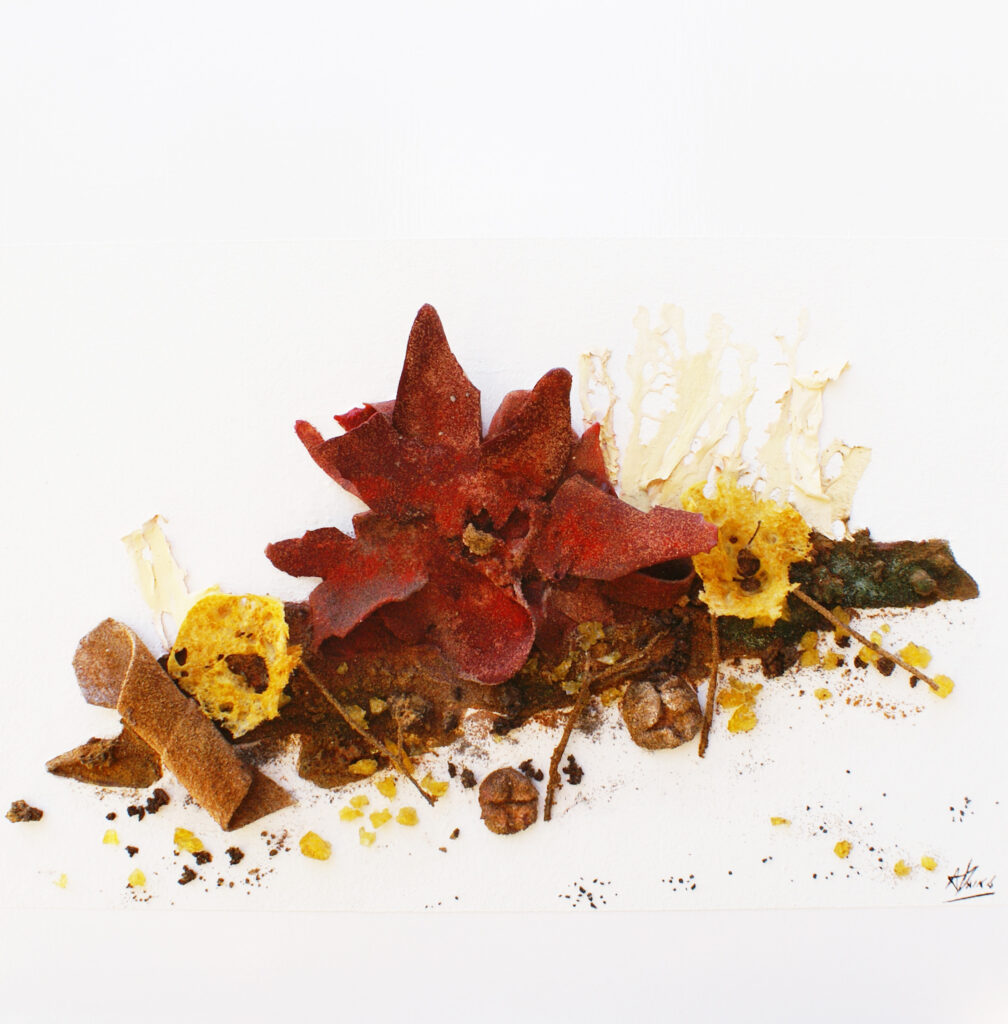 Tardor a El Bulli