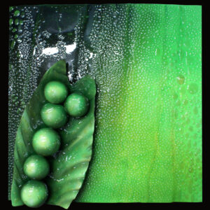 Green Peas with Water Drops - mongetes verdes amb gotes d'aigua