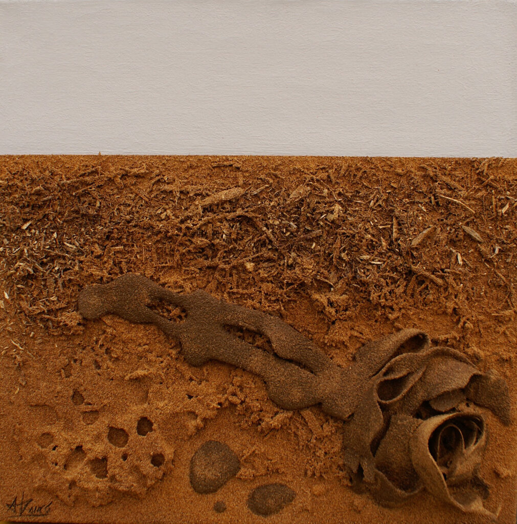 Textura de Xocolata